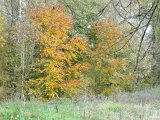 DSC01990