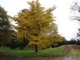DSC01993