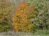 DSC01995