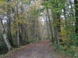 DSC01996