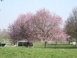 DSC02749