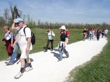 DSC02901