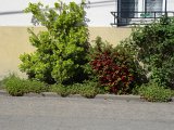 DSC02908