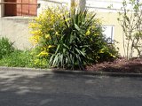 DSC02909