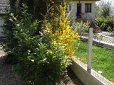 DSC02912