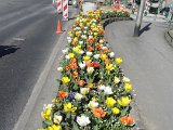 DSC02914