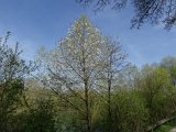 DSC02916