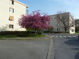 P1080930