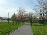 P1080947