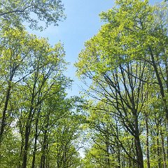 20160506 141448