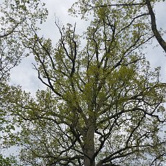 20160506 153528