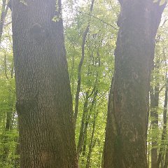 20160506 163052