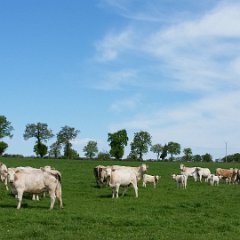 20160507 112252