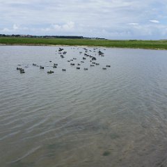 20160703 134515