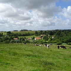 DSC01441