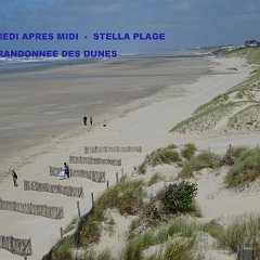 DSC01466