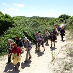 DSC01481