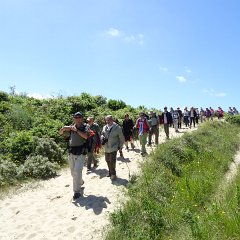 DSC01493