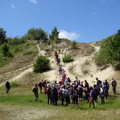 DSC01529