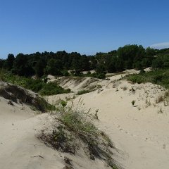 DSC01545
