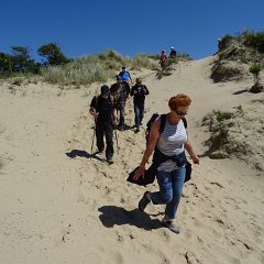 DSC01554
