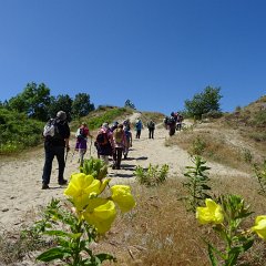 DSC01569