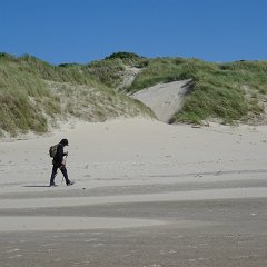 DSC01602