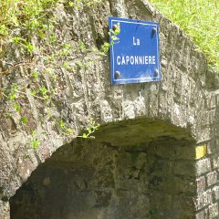 DSC1370