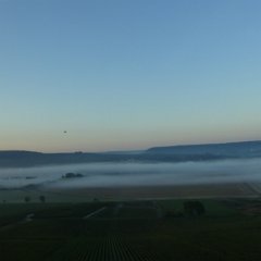 P1060767