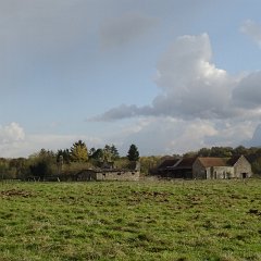 DSC03129
