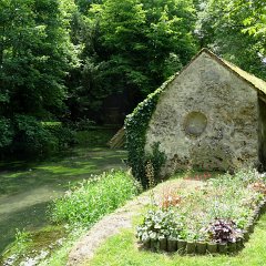 DSC07222