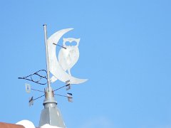 P1000869