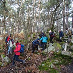 Barbizon (10)