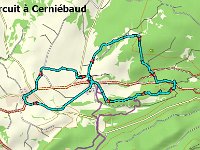 cerniebaud (1)