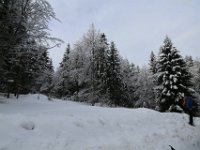 cerniebaud (27)